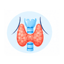 Endocrinology and Metabolism