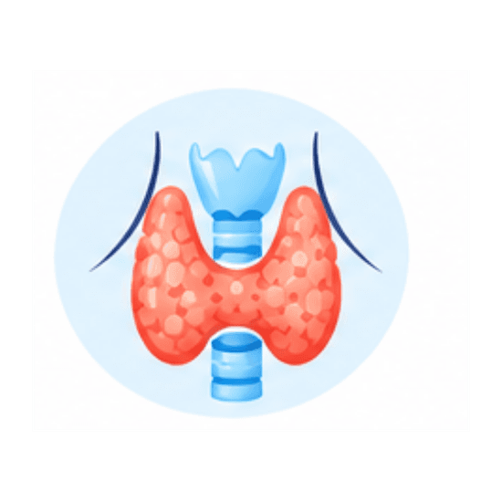Endocrinology and Metabolism