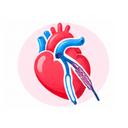 Cardiology