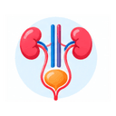Urology and Uro-surgery