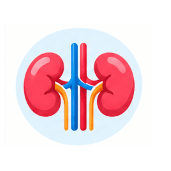 Nephrology