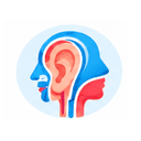 Otorhinolaryngology (ENT)
